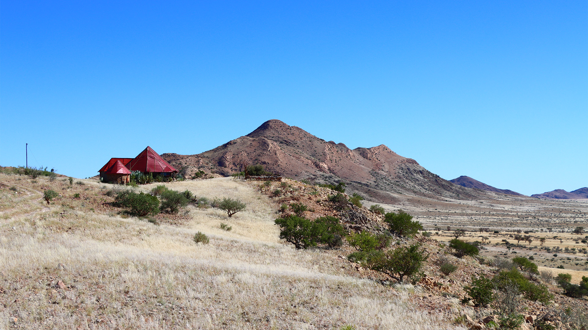 Camp Gecko — photo 7